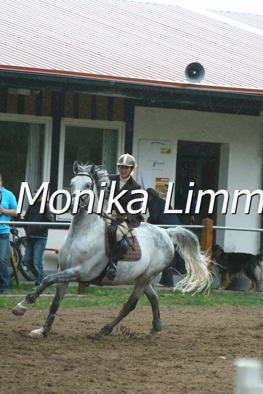 104M4141_Pernod_Spring M.JPG